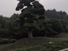 -韶山毛泽东同志故居