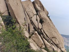 -闻道食府烙饼卷带鱼(原车耳营店原大觉寺店)