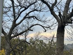 -狼山风景名胜区