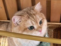 -天井·丑面包搭咖啡