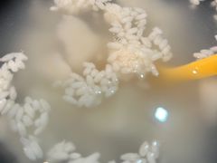 -陈员外正宗夹江烧烤(广福路店)