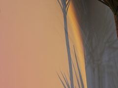 -橙呦·私人定制生日蛋糕