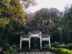 -蝴蝶泉公园