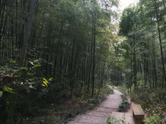-南山风景名胜区