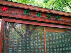 -东平国家森林公园