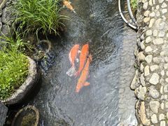 -前童古镇