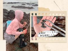 -海南棋子湾开元度假村·祺咖啡自助餐厅