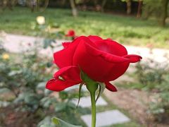 -共青国家森林公园-售票处