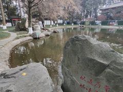 -温江公园