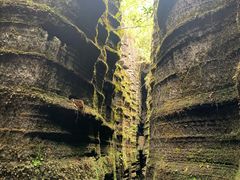 -梭布垭石林景区