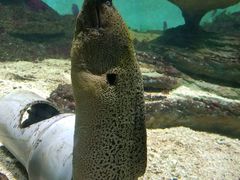 -北戴河圣蓝海洋公园