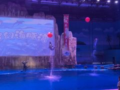 -华夏文旅海洋公园