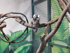 -上海昆虫博物馆