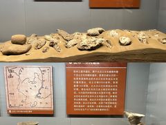 -青岛市博物馆
