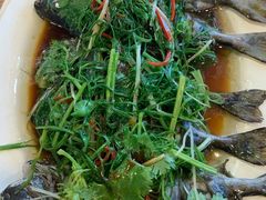 清蒸泥鯭-揭阳钟记小食(福田新村店)