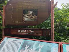 -海南热带雨林国家公园吊罗山景区
