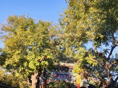 -北京国子监胡同