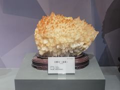 -湖南省地质博物馆