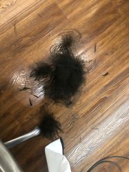 -THE LOG SALON 记录