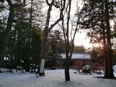 -北海道神宫