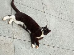 -五营红松林海景区