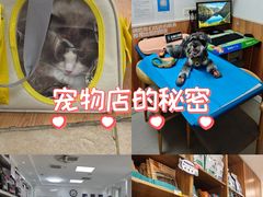 -宠福鑫动物医院·动物疾病诊疗中心(天通苑店)