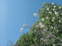 -宁波野生动物园