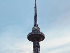 -龙塔