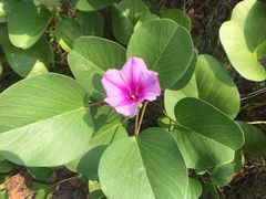 -北京鹿世界主题园