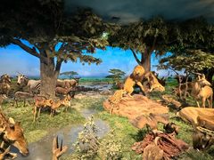 -国家自然博物馆