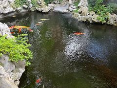 -鲤院·新中式美学·庭院餐厅(夫子庙店)