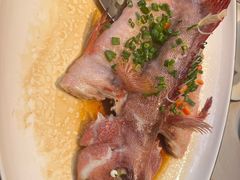 -御品猪腰·地道岭南味(千灯湖店)