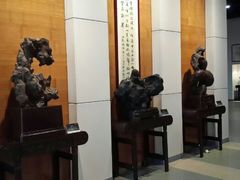 android_upload_pic-中华赏石园