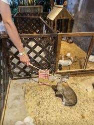 -酷嗒动物文化乐园(cutezoo西溪乐天城店)