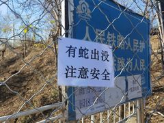 -白水寺森林公园