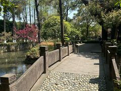 -桂湖森林公园