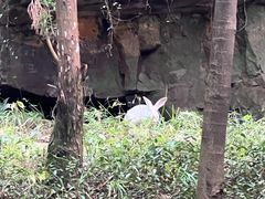 -狼山风景名胜区