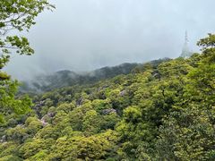 -梧桐山风景名胜区