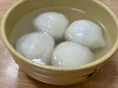 鲜肉汤圆-祥记汤圆(东宝兴路店)