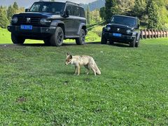 -新疆那拉提国家旅游度假区