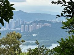 -梧桐山风景名胜区