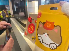 -麦当劳(丽江玉河广场店)