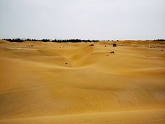 -库木塔格沙漠