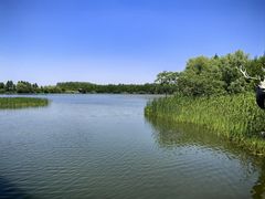 -溱湖国家湿地公园