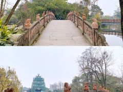 -桂湖森林公园