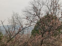-香山公园