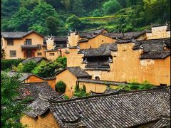 -杨家堂村