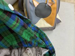 -美联众合动物医院·24h转诊中心