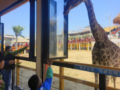 -西霞口神雕山野生动物世界