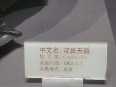 -天津自然博物馆